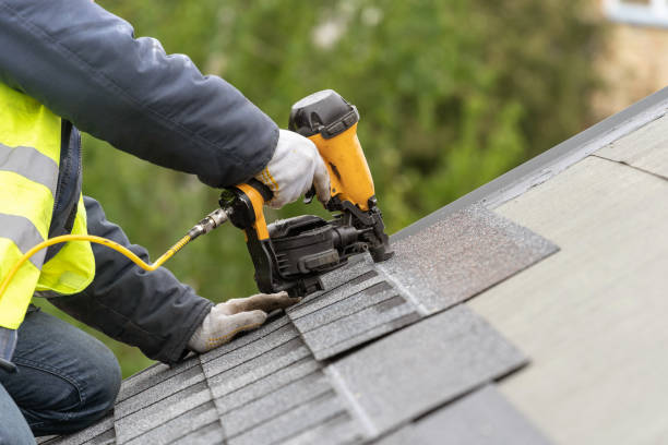 Best Solar Panel Roofing Installation  in Carl Junction, MO