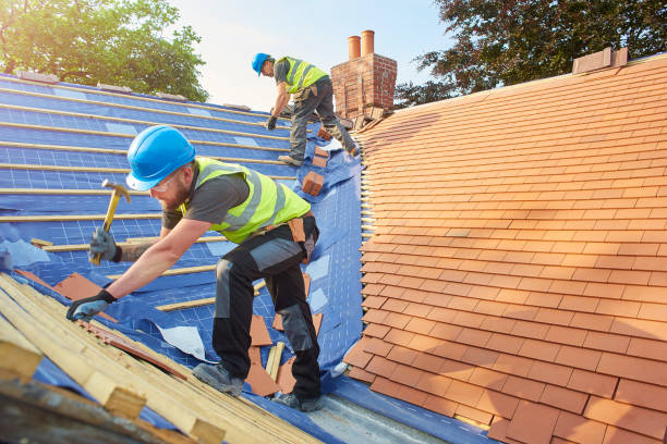 Best Sheet Metal Roofing  in Carl Junction, MO